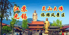 破处美女插bb视频网江苏无锡灵山大佛旅游风景区
