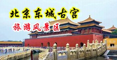 美女操逼,com中国北京-东城古宫旅游风景区